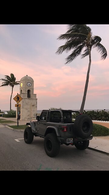 March ‘23 sea turtle rescue / palm beach visit photo video