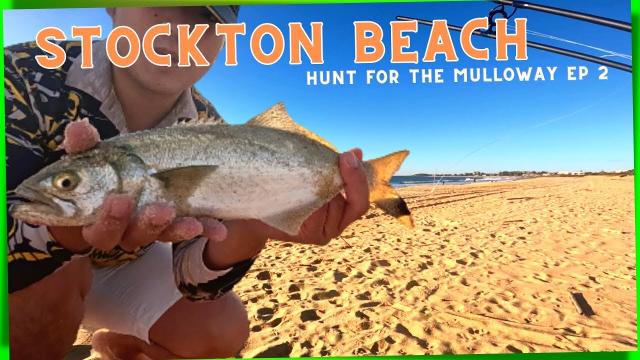 Hunt for the MULLOWAY | STOCKTON BEACH FISHING |