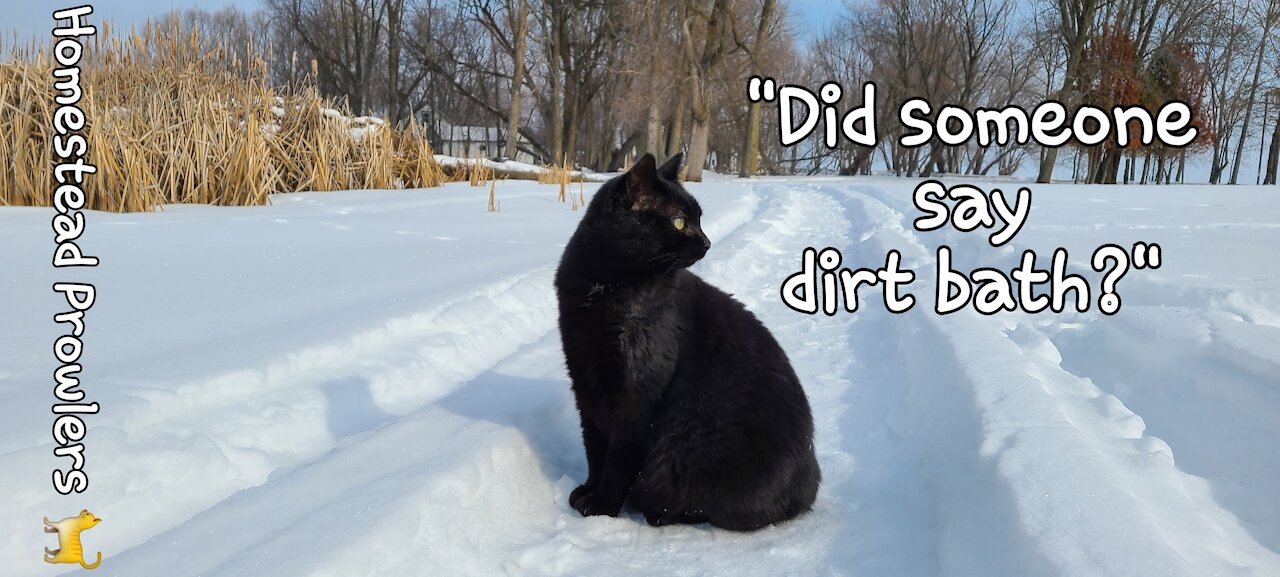 Dirt Bath And A Walk To The Fire Pit!