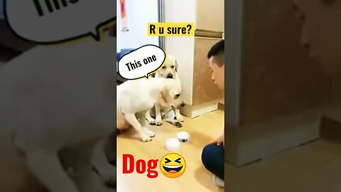 dog copy kar raha hai Daga Kiya Hai #short video# trending