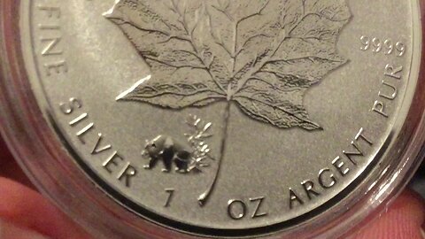 2017 Panda Privy Silver Maple Leaf Coin