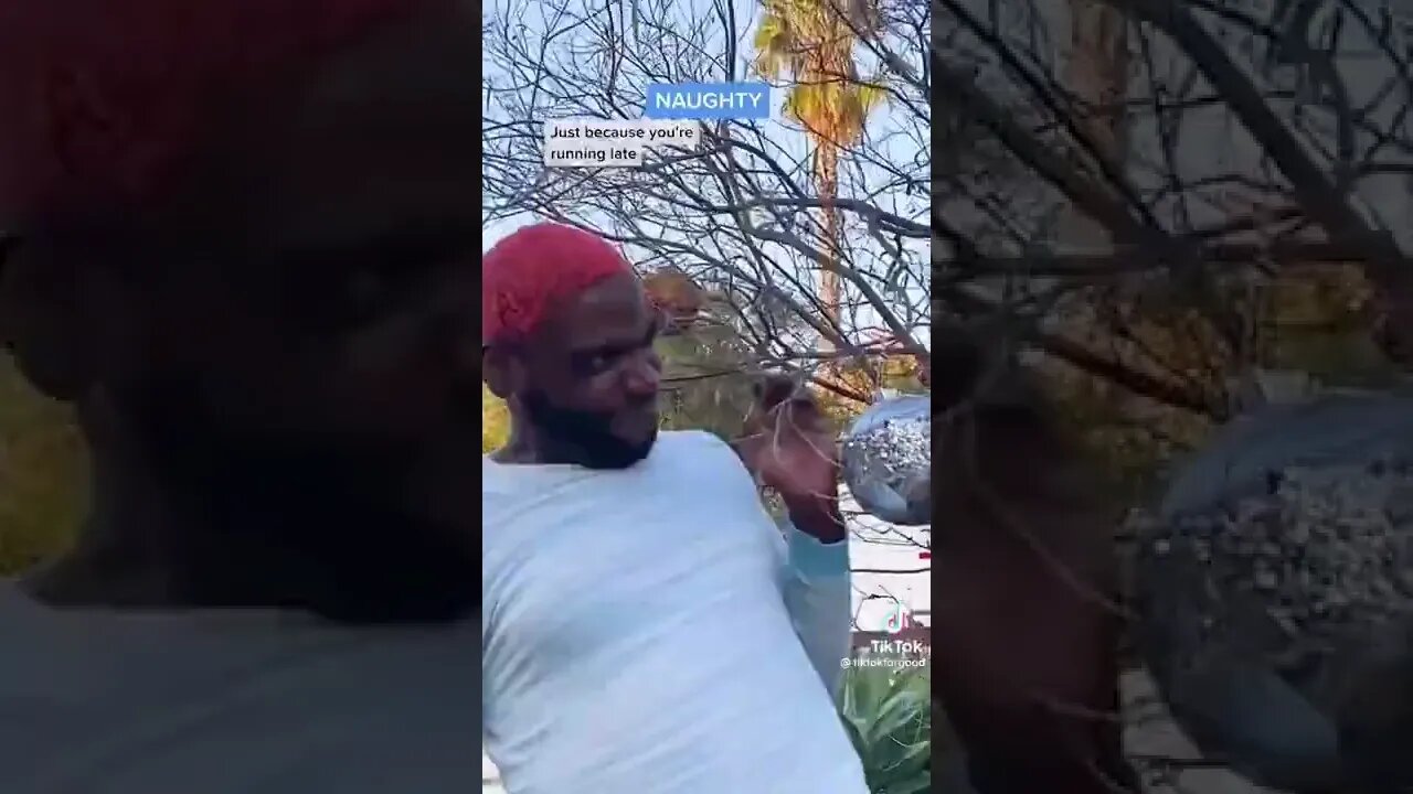 tik tok