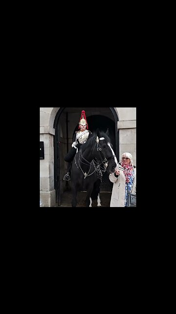 American Tourist Gets her hand bitten. did you see it bite my hand #horseguardsparade