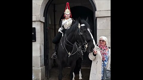 American Tourist Gets her hand bitten. did you see it bite my hand #horseguardsparade