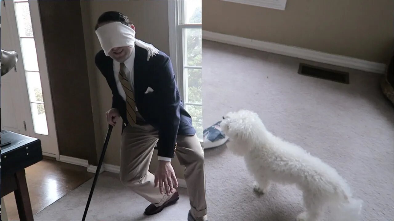 Trying to Find Dog Blindfolded!