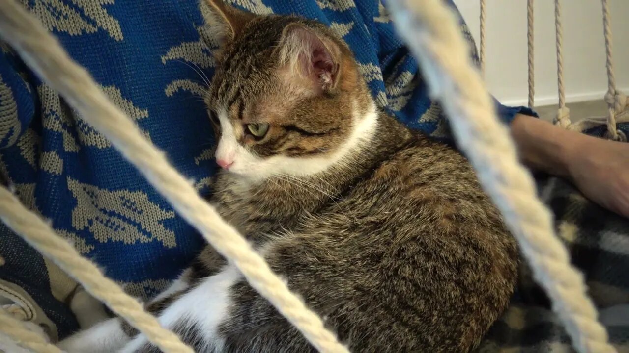 I Have Found a Soft Place to Sit