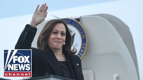 Kamala Harris is 'new low point' in U.S. diplomacy: Ex-Trump senior adviser