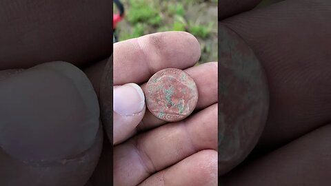 Buffalo!! #metaldetecting #buttons #coins #trending #silver #civilwar #battlefield #relic #treasure