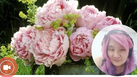PEONY PUTIH