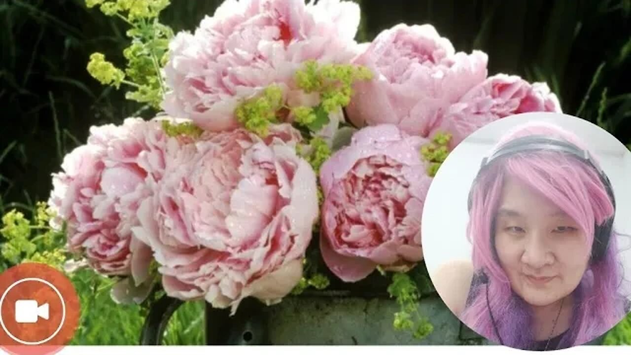 PEONY PUTIH