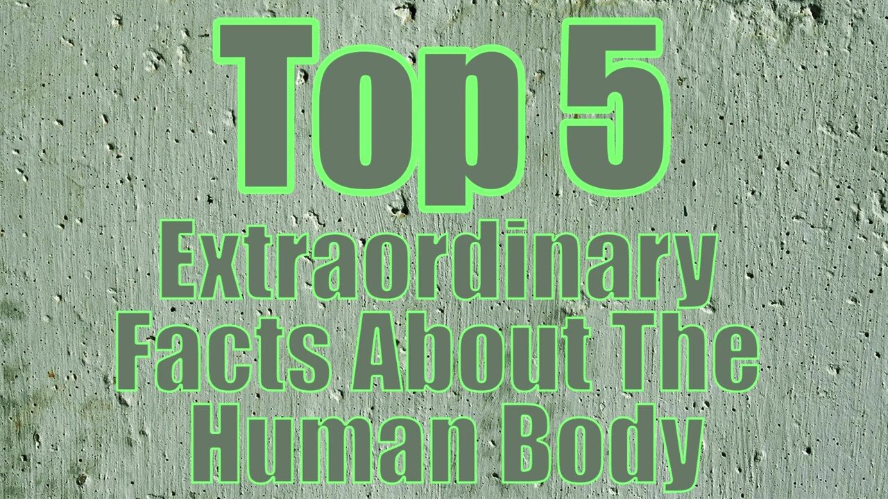 Top 5 Facts About The Human Body