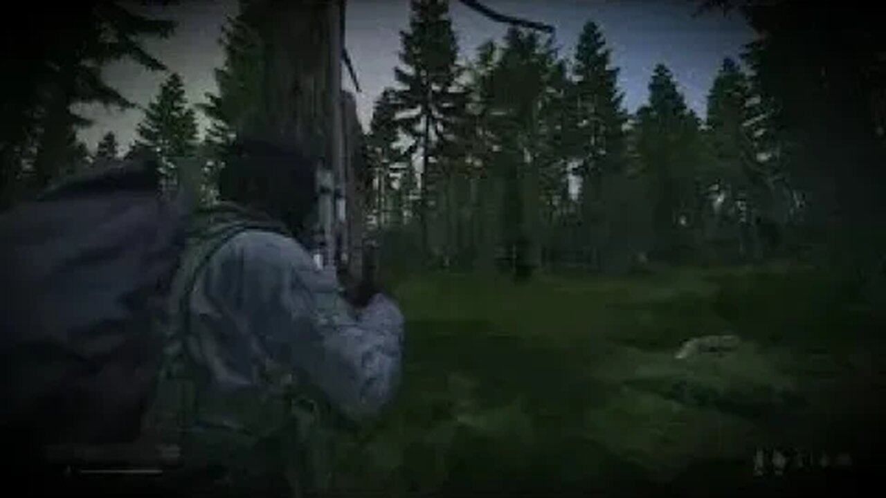 DayZ solo bear hunt PS5