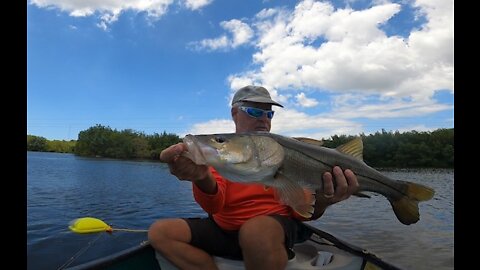 RIP GoPro, a Big Snook shows sympathy