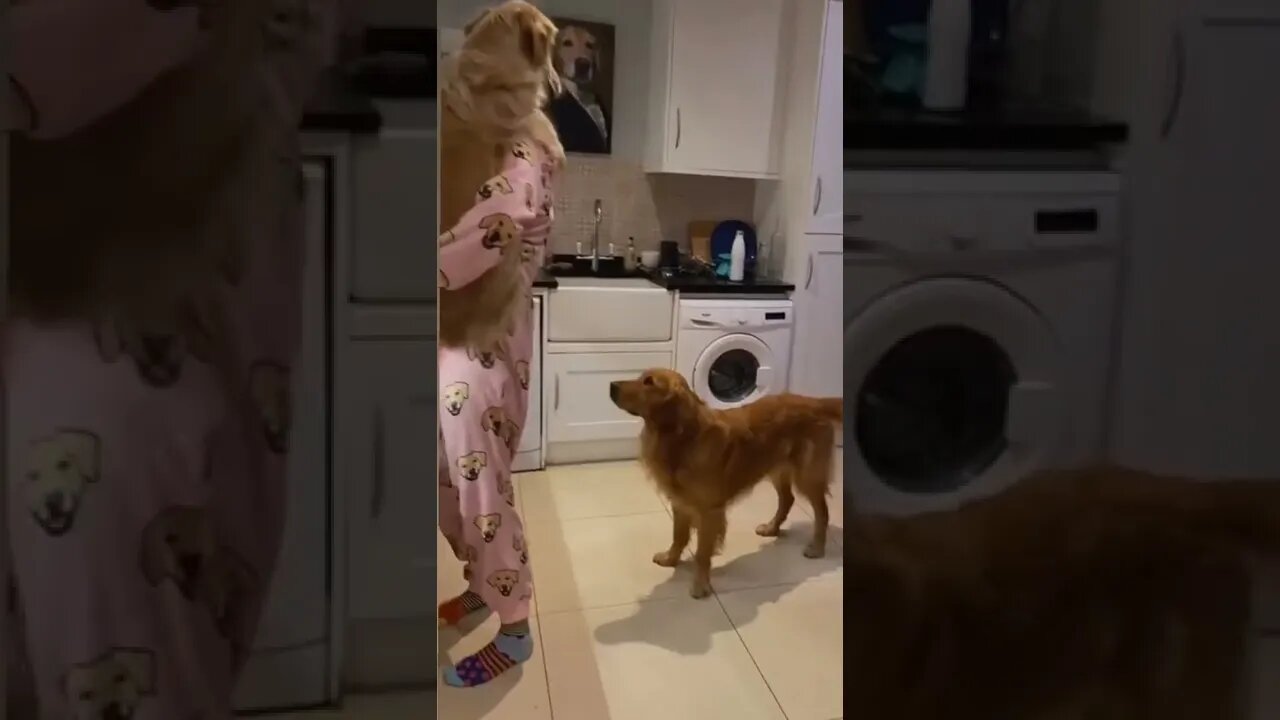 She is Drink and dance with doggy||doggo|baby dog|funny dogs#thedodo|animals