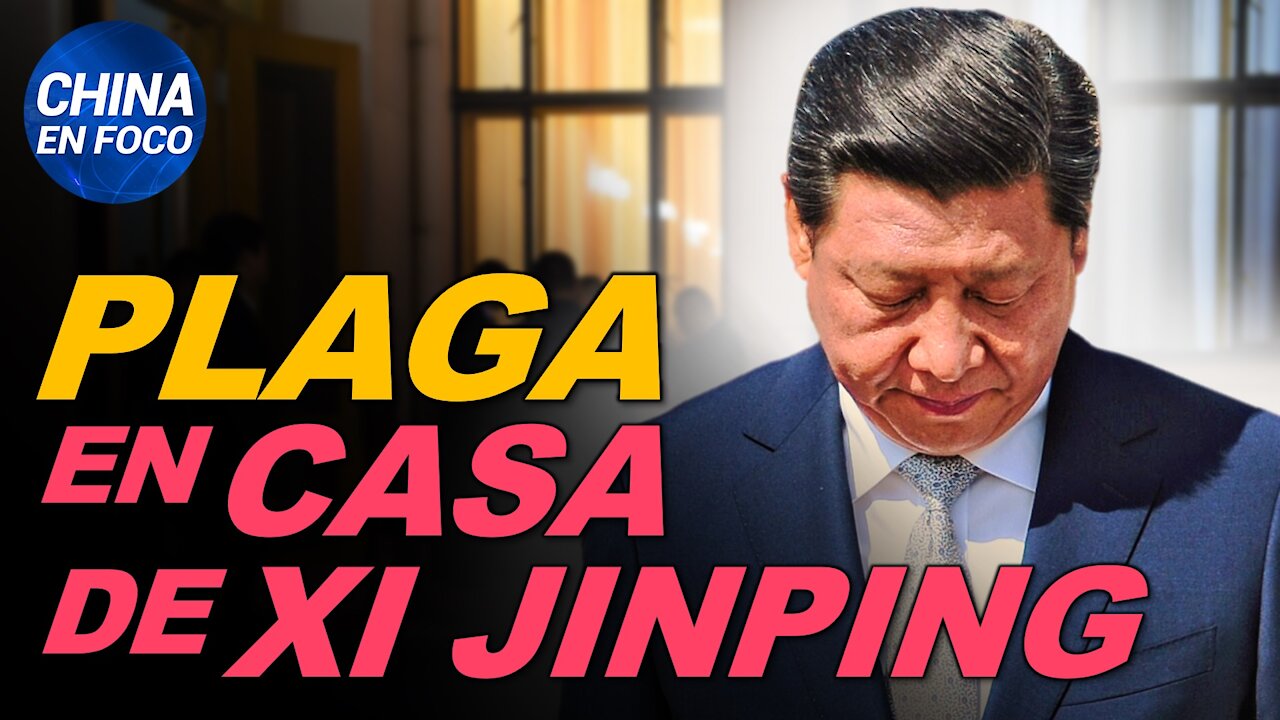 La plaga llega hasta la casa de Xi Jinping. Así obtiene el régimen permiso para exterminar