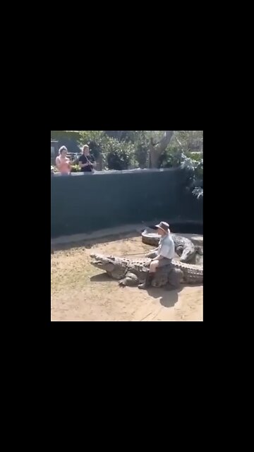 ZOO TRAINER GOT TOO CLOSE PLAYING WITH HIS CROCODILES🐊👨‍🌾🐊💫
