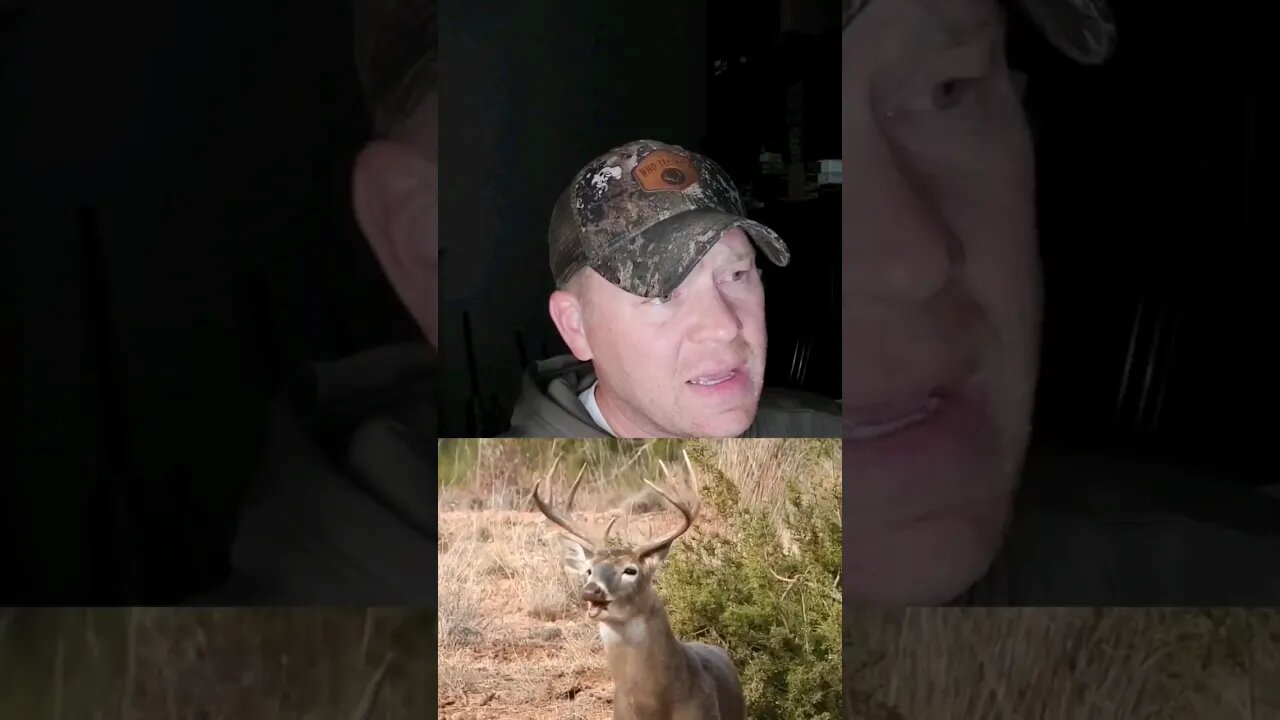 Bigtime Regret - Should Have Shot...🤦♂️🤦♂️🤦♂️ #shorts #regret #LessonLearned