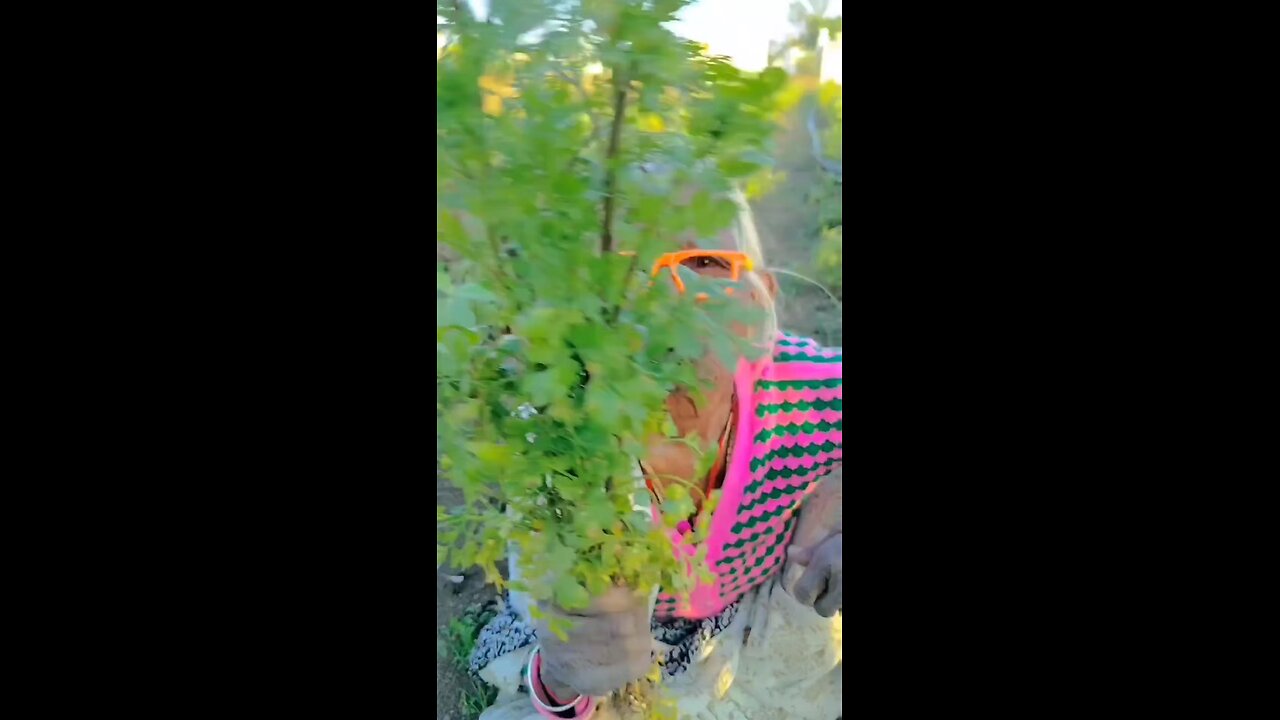 owoooo😆😆😆😆