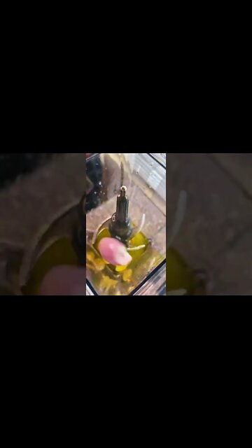 Easy Low-Carb Recipes For Weight Loss