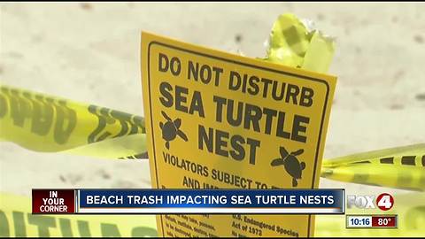 Sea turtle advocates plead for clean beaches