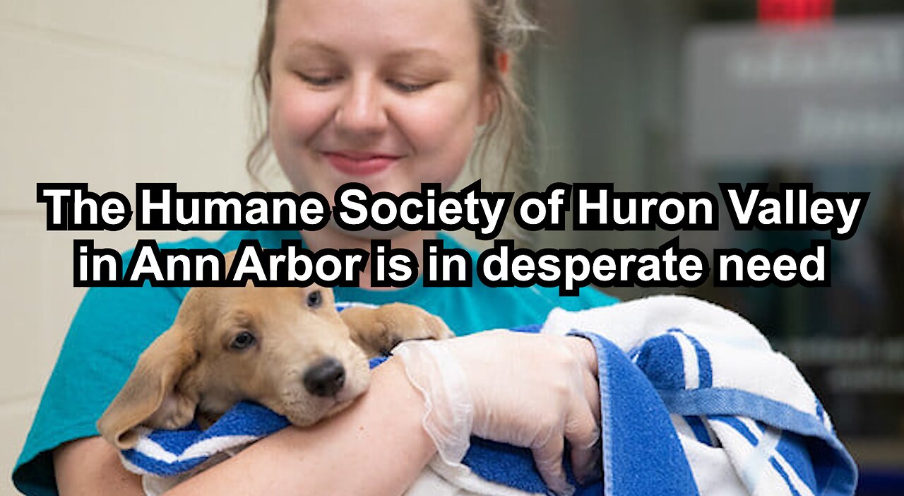 The Humane Society of Huron Valley in Ann Arbor is in desperate need