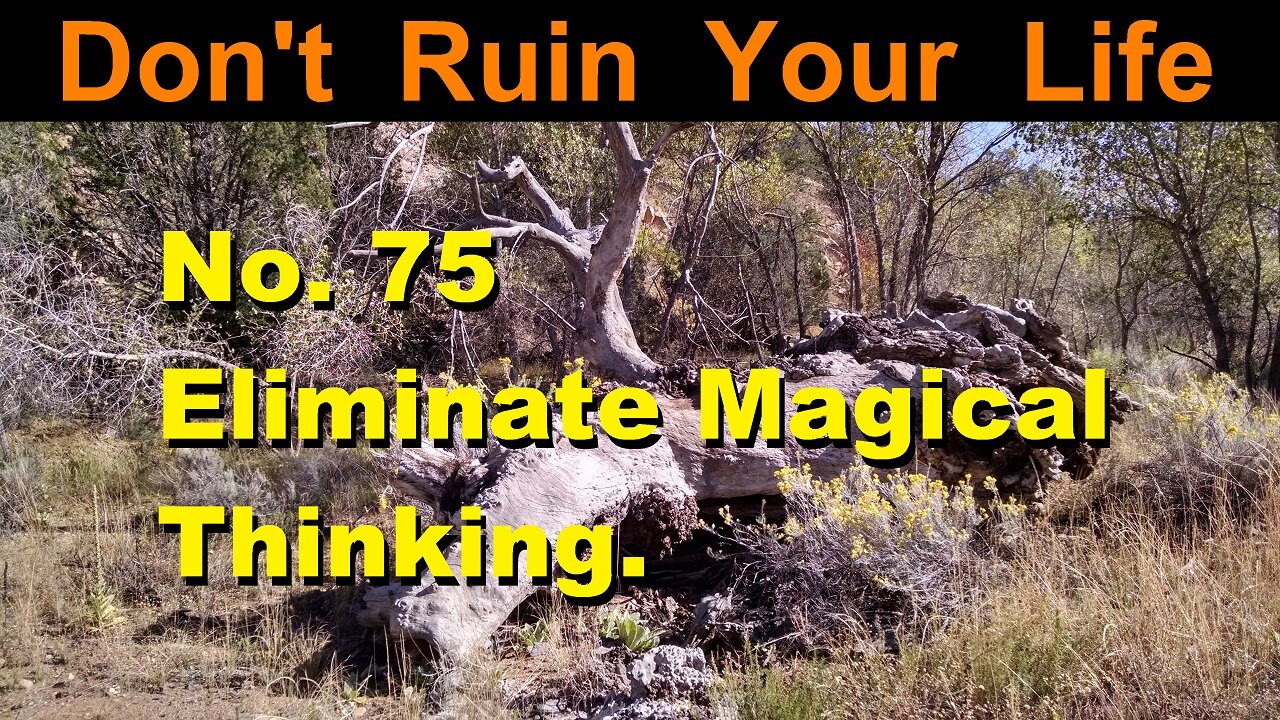 DRYL No. 75 -- Eliminate magical thinking.