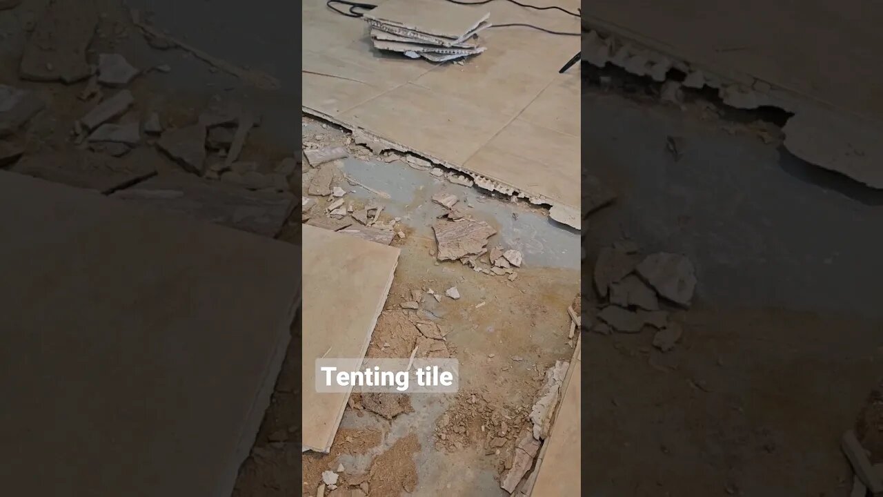 Tile FAIL Don't let this happen to you. #tile #tilefail #fails #shorts