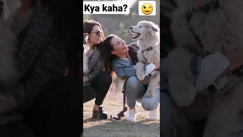 Kya kaha ? l @Crazy XYZ @MM5.0 ~ Startling YouTube Shorts🤡 l #shorts