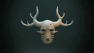 202115.Heavy horns - Taxidermy wall