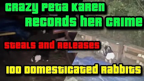 crazy Karen goes and steals and releases 100 domesticated rabbits.