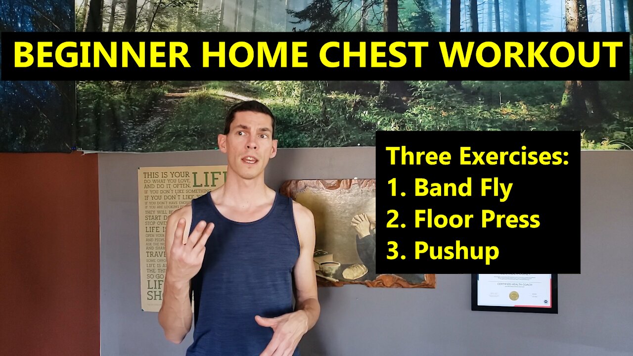 Beginner Home Workout With Minimal Equipment | CHEST FOCUS | 20 Minute Circuit |