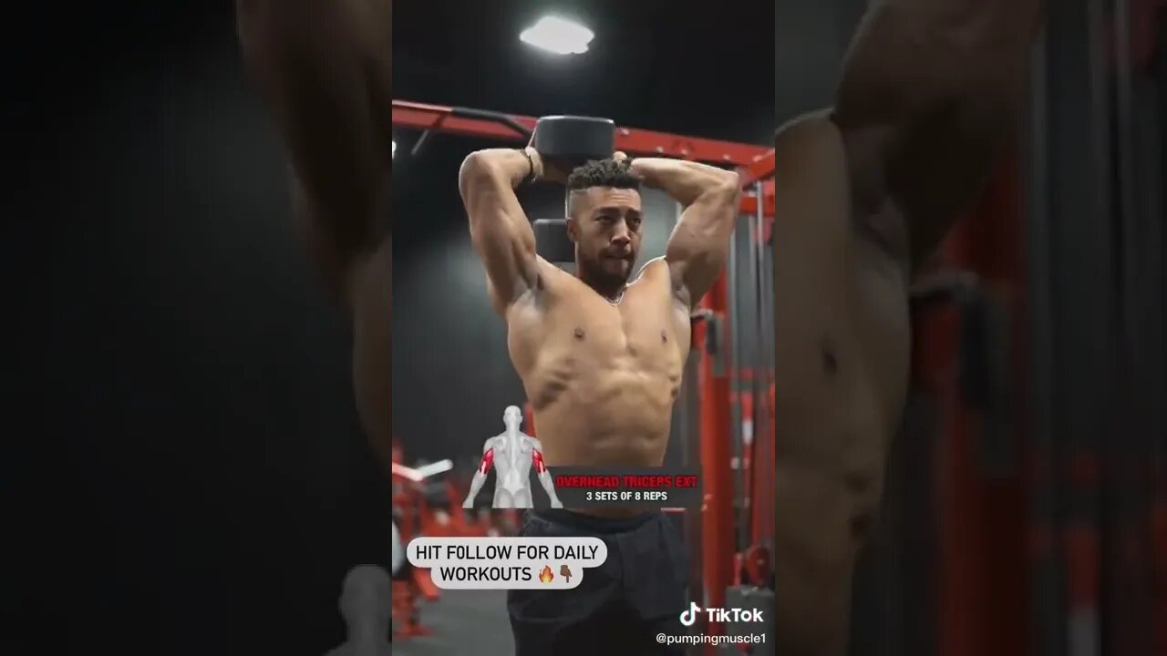 Credits@Trent Harrison #viral #fitness #beliveinyourself #gymtok #gymlife #gymnastics #mot