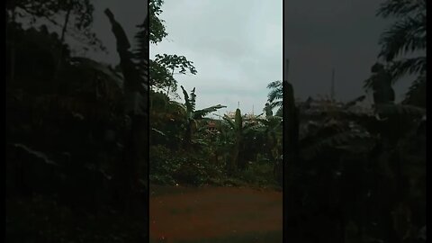 CRIAS DA TROPA DO CAVALO ARGENTINO TCP GRAVAM VÍDEO NA LAMBICADA É DEBOCHA DO CV ANGRA DOS REIS RJ