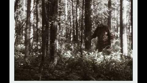 Rangers Mistakenly Shot Bigfoot See What Happens Next‼️