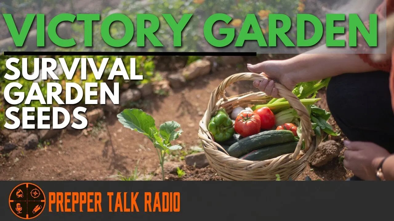 Victory Garden With Survival Garden Seeds Interview W/ Angee | PTR Ep 288