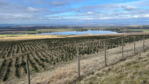 Rab Anderson 23 - The Kirk Road to Green Cleugh