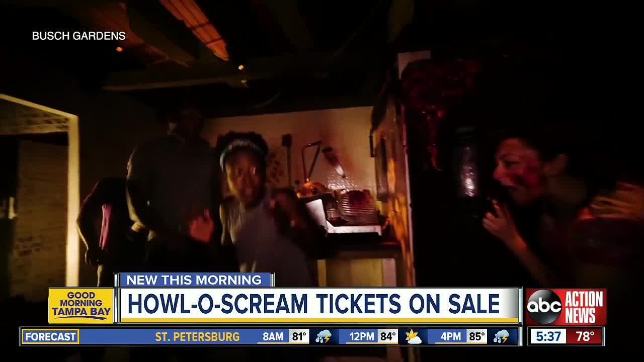 You can get Busch Gardens Howl-O-Scream tickets now for 75 percent off