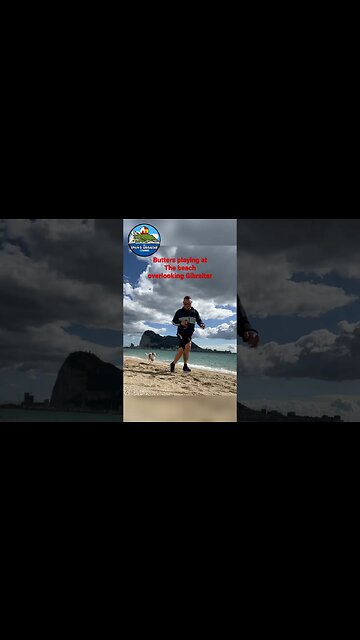 My Spain Dog Butters, Playing at the Beach #shorts