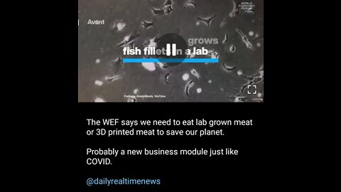 WHO, WEF, & UKRAINE