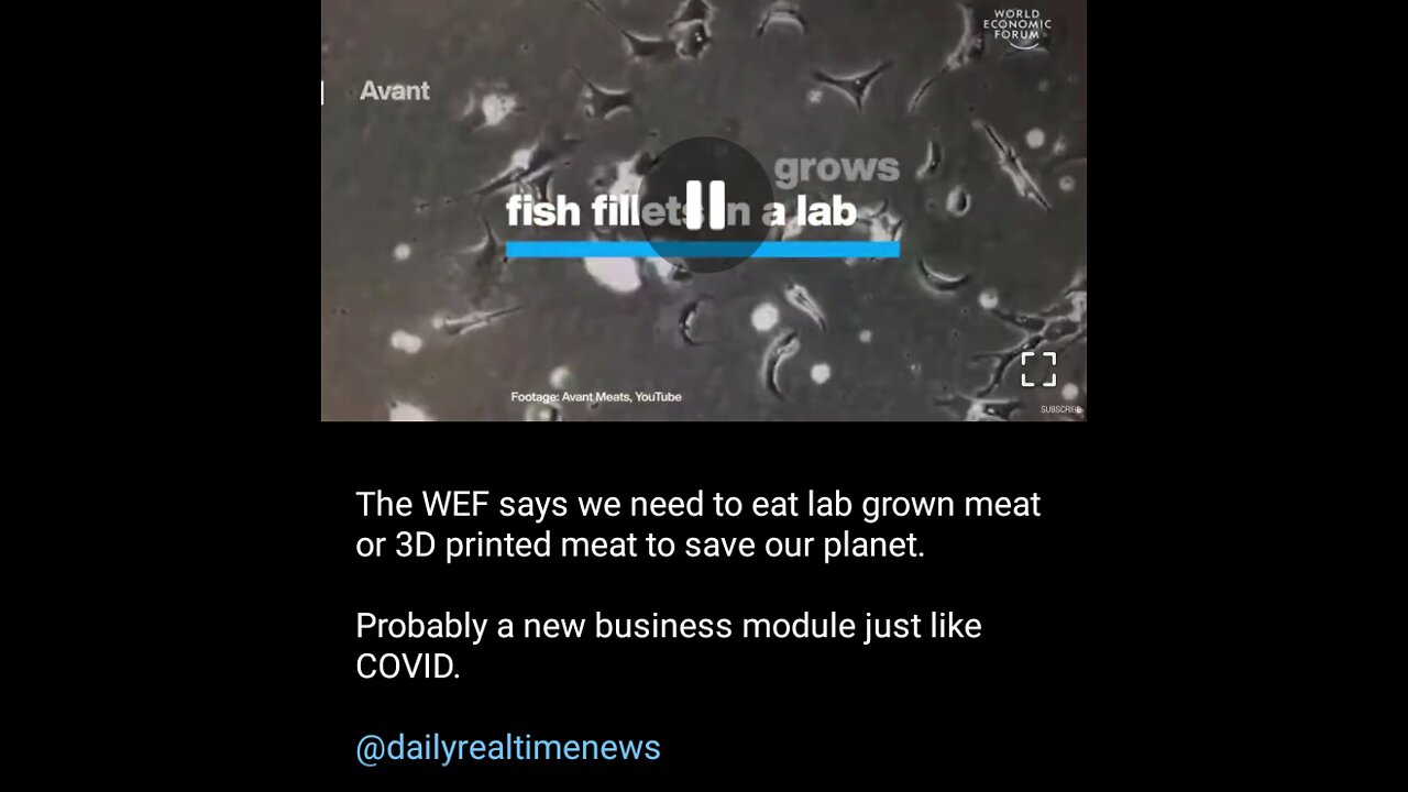 WHO, WEF, & UKRAINE