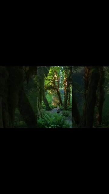 Beautiful relaxing music for stress #shorts