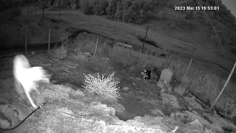 Monitoring Farm Animals