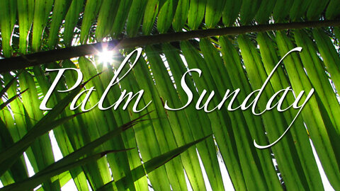 Palm Sunday 2022