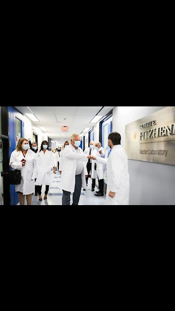 Ford Is Reportedly Considering Mandatory COVID-19 Vaccines For Some Workers