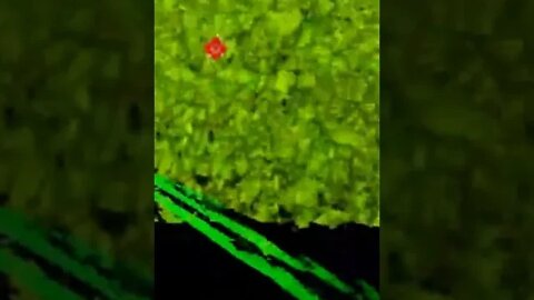 #funny #meme #shorts #halo