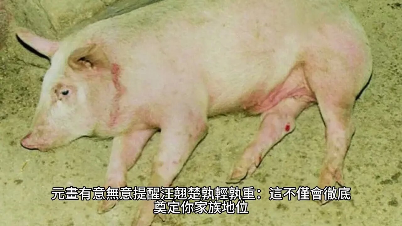 {女總裁的上門女婿}634~641章 有聲字幕小說