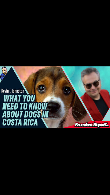 WHAT YOU NEED TO KNOW ABOUT DOGS IN COSTA RICA.