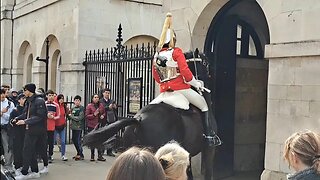 Horse is spinning around #horseguardsparade