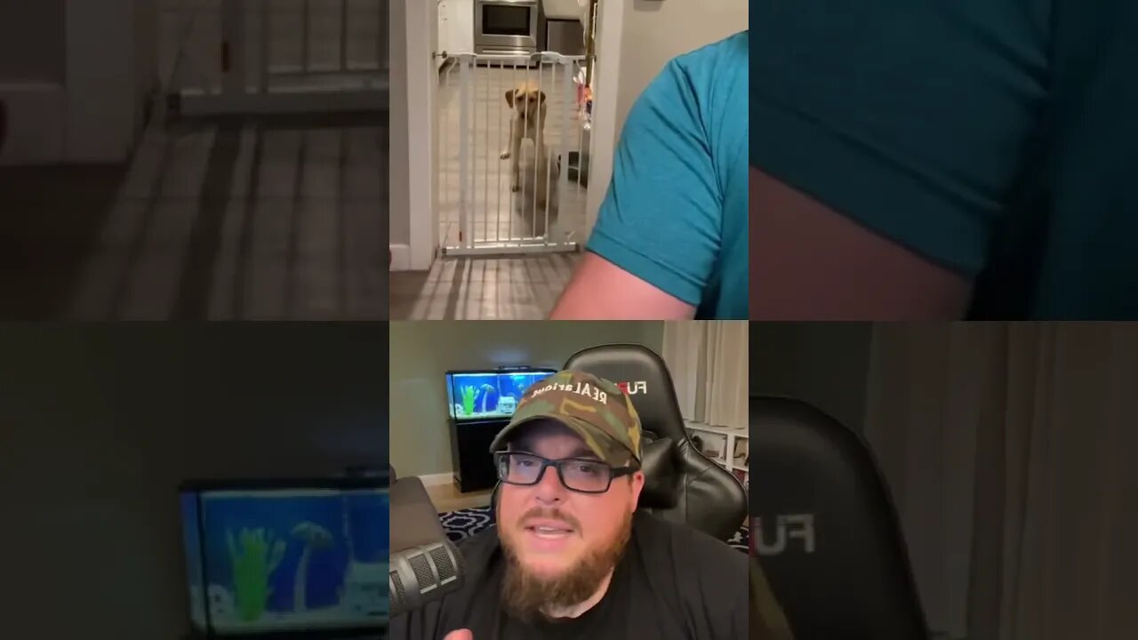 Here’s Your Dose Of REALarious…🤣🤣🤣 with @Josh P