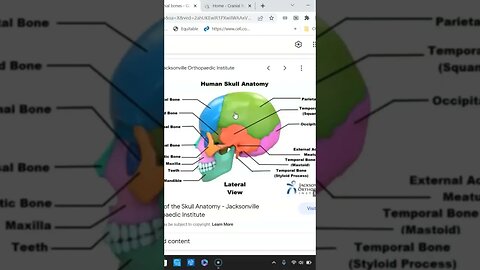 Optimization of structure to improve function